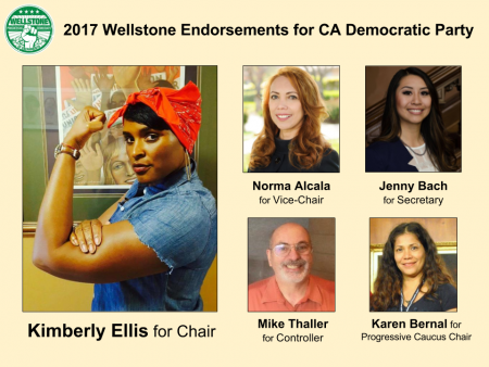 Wellstone 2017 CDP endorsments