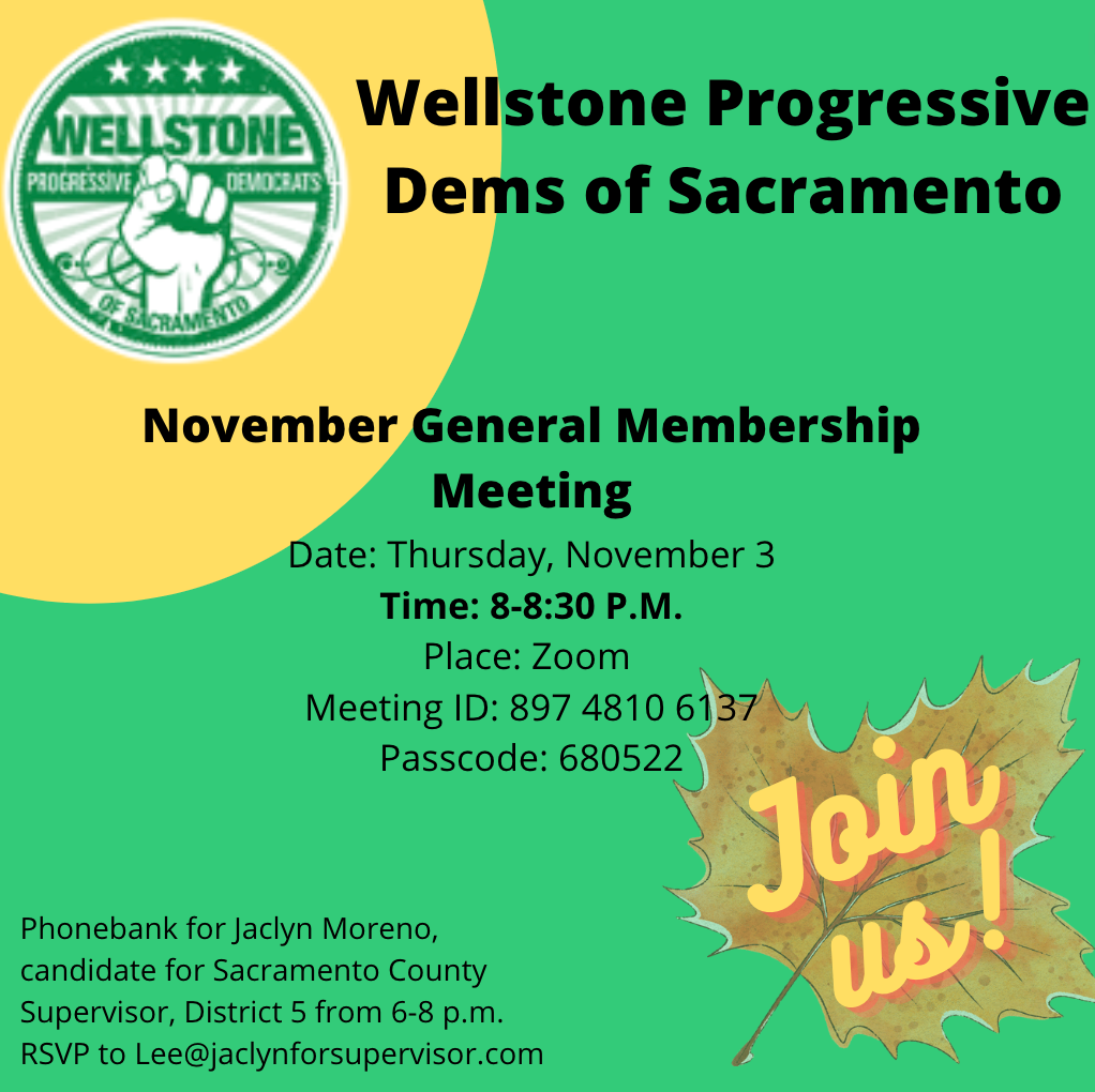 Wellstone Dems November meeting