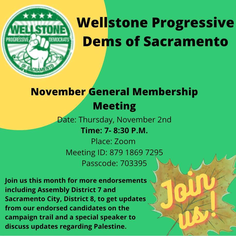Wellstone Dems November 2023 meeting
