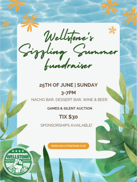 Wellstone's Sizzling Summer fundraiser